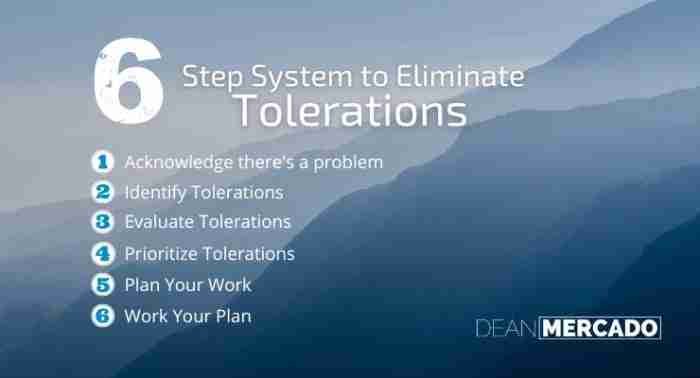Energy Vampires: 6 Steps To Stop Tolerating Bullshit And Reclaim Your Power 3 6 steps to eliminate tolerations in your business