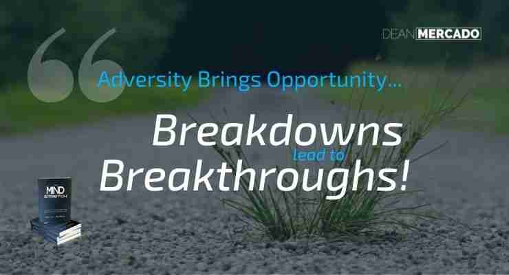 Palm Tree Tenacity: 3 Tips to Help Embrace Change in Your Business 7 Palm Tree Tenacity - Breakdowns lead to Breakthroughs