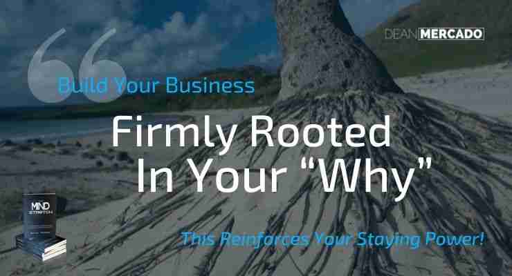 Palm Tree Tenacity: 3 Tips to Help Embrace Change in Your Business 5 Palm Tree Tenacity - Your Business Firmly Rooted In Your Why