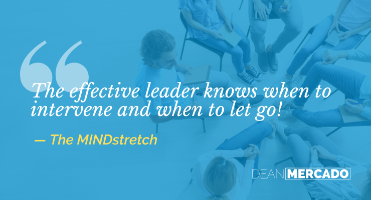 Delegate or Stagnate: How to Delegate Effectively And Energize Business Growth 28 The MINDstretch on the effective leader